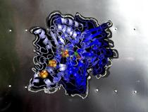 metal enzyme protein